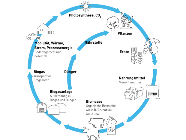 Bild Biogas Kreislauf